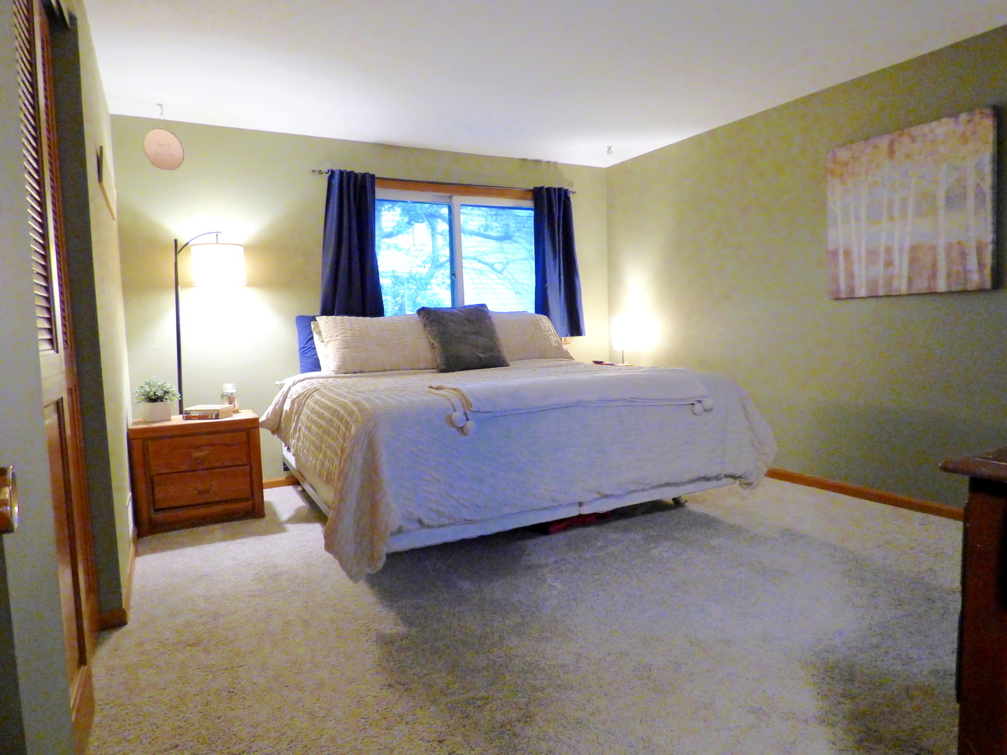 1420 E Lake Louise Drive, Palatine, IL 60074