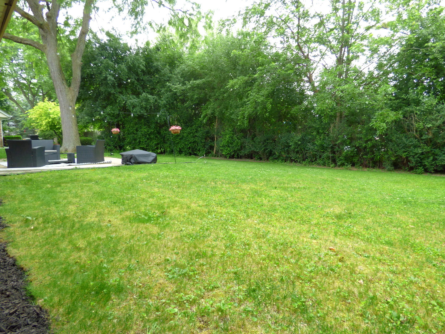 1420 E Lake Louise Drive, Palatine, IL 60074