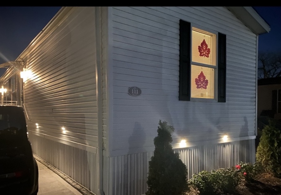 111 Daves Court, Bartlett, IL 60103
