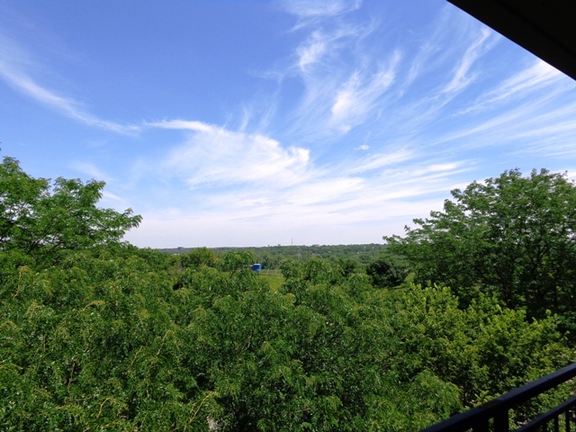 5810 Oakwood Drive #5G, Lisle, IL 60532