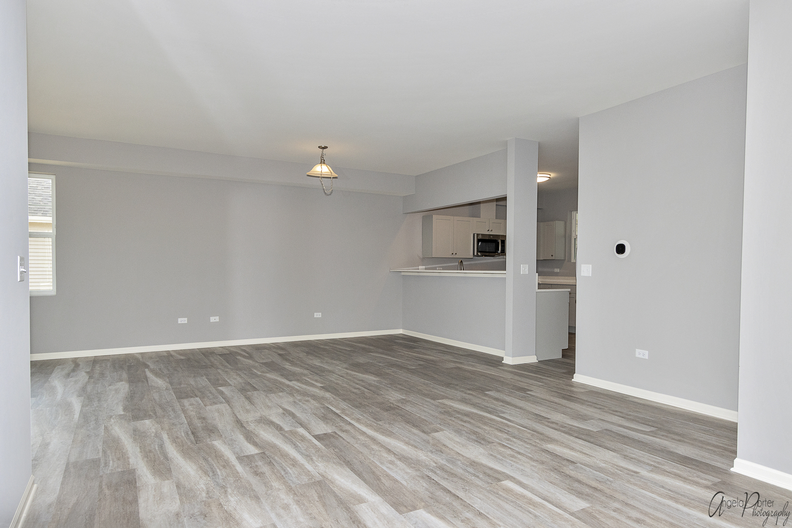 3906 Monica Lane, Johnsburg, IL 60051
