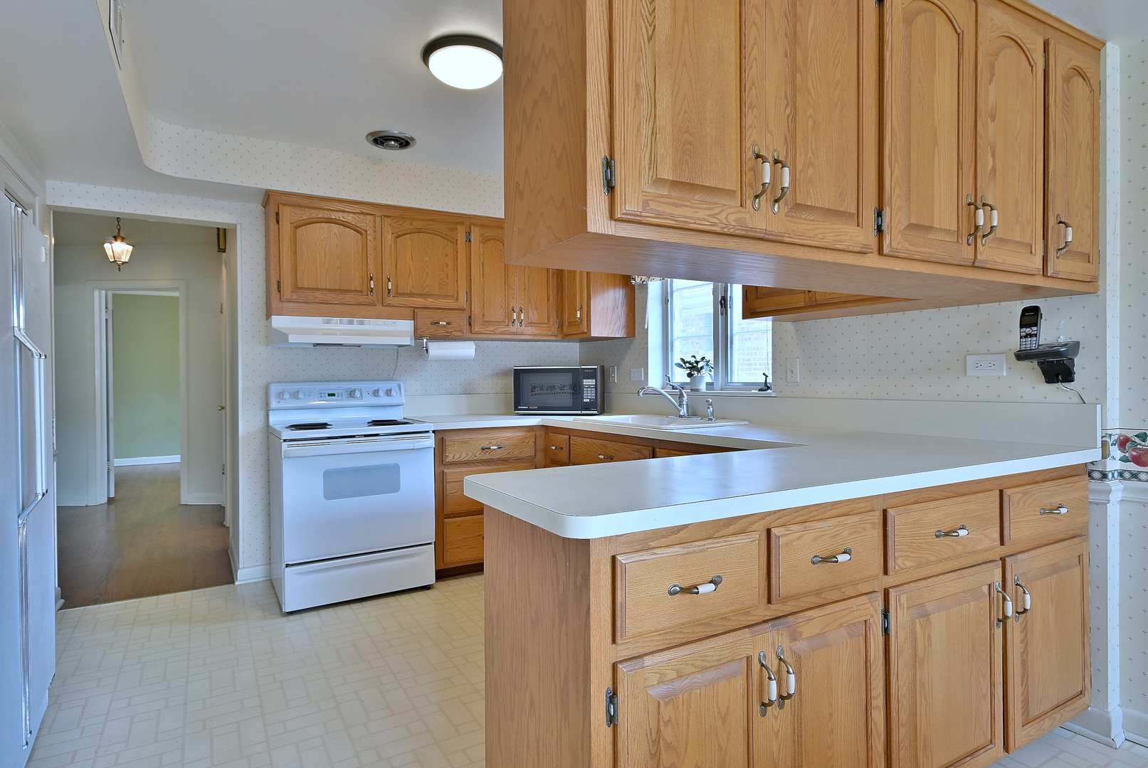 8038 N Oconto Avenue, Niles, IL 60714