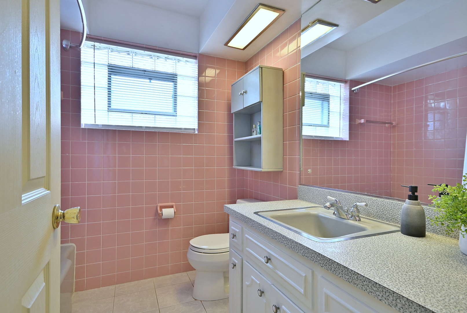 8038 N Oconto Avenue, Niles, IL 60714
