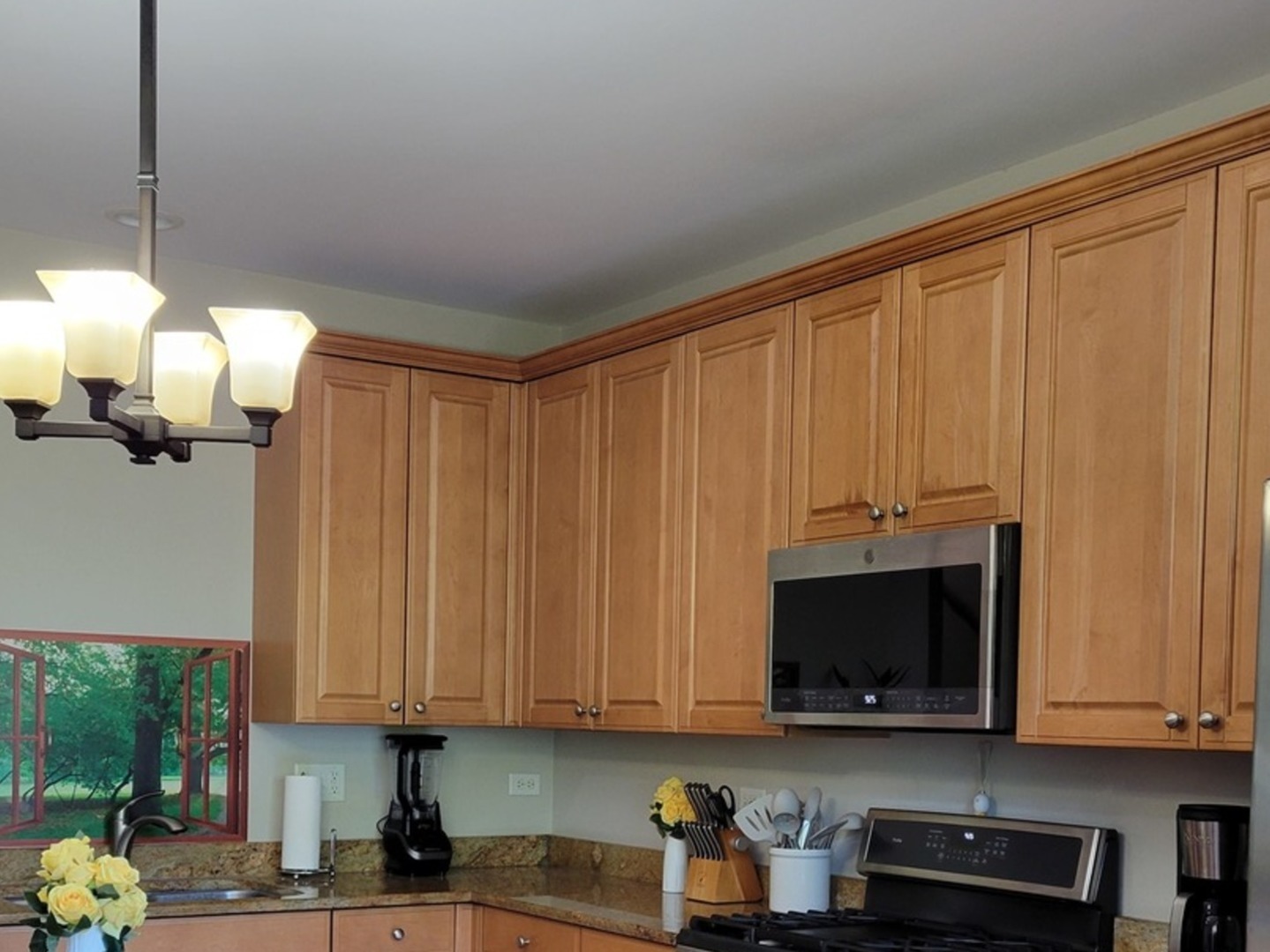 2475 WATERBURY Lane, Buffalo Grove, IL 60089