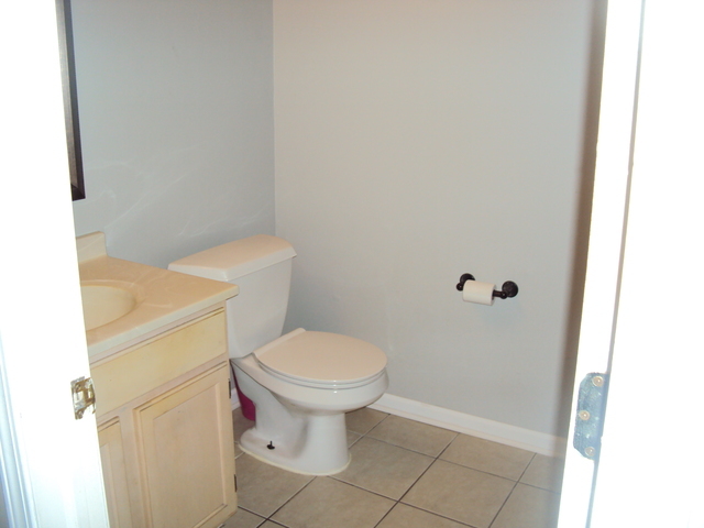 424 Van Gogh Circle, Bolingbrook, IL 60440