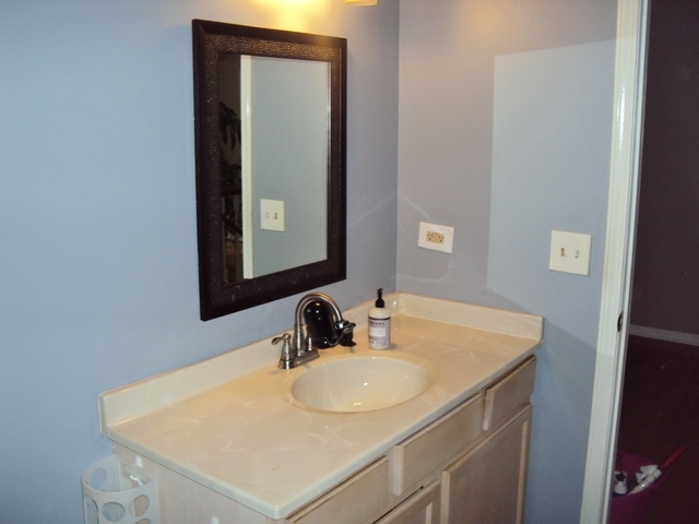 424 Van Gogh Circle, Bolingbrook, IL 60440