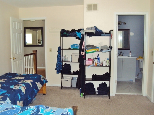 424 Van Gogh Circle, Bolingbrook, IL 60440