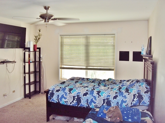 424 Van Gogh Circle, Bolingbrook, IL 60440