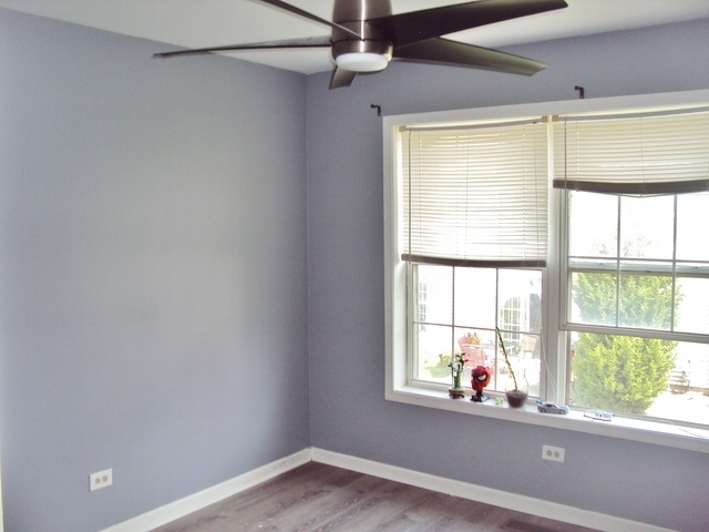 424 Van Gogh Circle, Bolingbrook, IL 60440