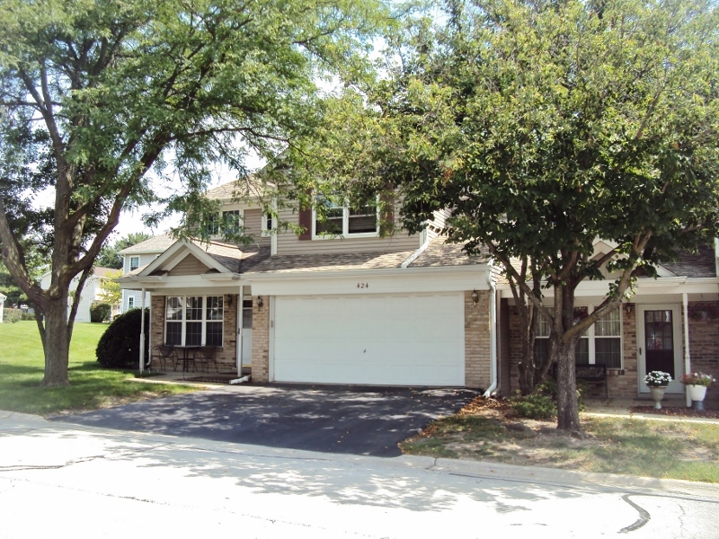 424 Van Gogh Circle, Bolingbrook, IL 60440
