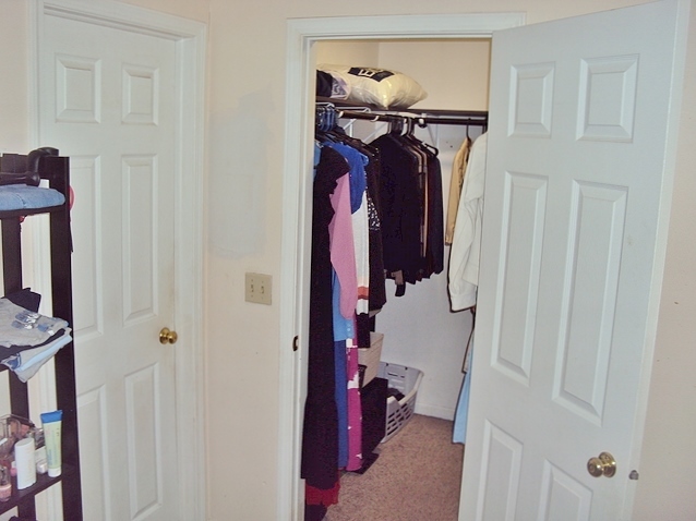 424 Van Gogh Circle, Bolingbrook, IL 60440