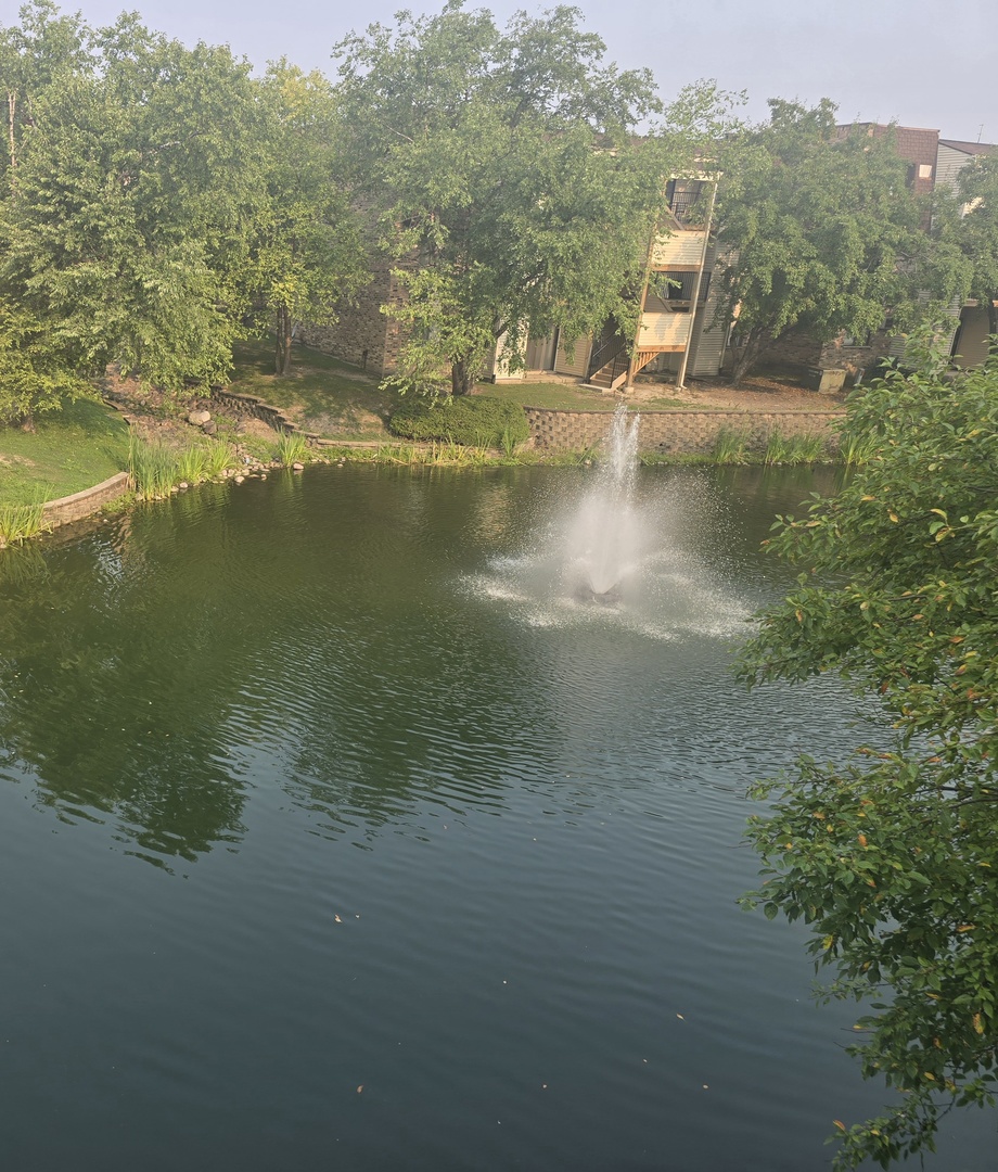 184 S Waters Edge Drive #201, Glendale Heights, IL 60139