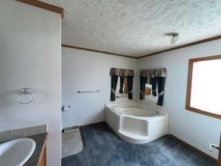 23722 W Lakepoint Drive, Channahon, IL 60410