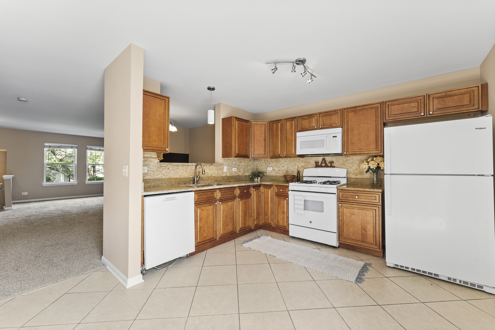 582 Holiday Lane, Round Lake, IL 60073