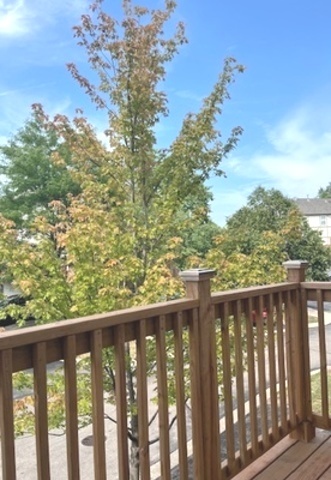 1122 N Claremont Drive #0, Palatine, IL 60074