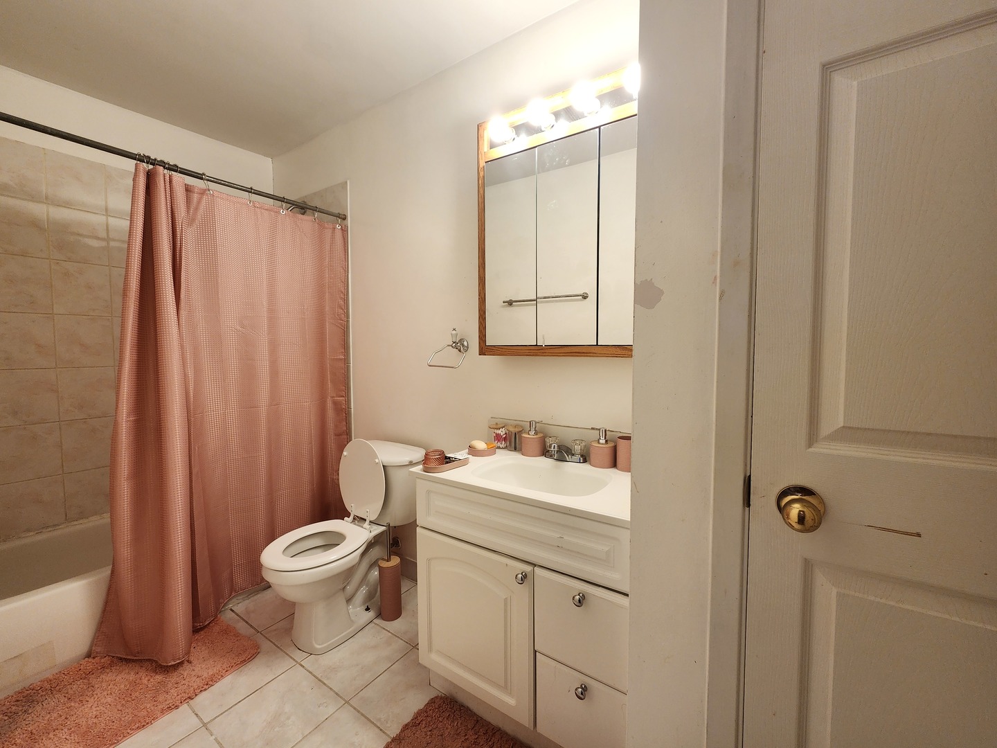 10A E DUNDEE QUARTER Drive #306, Palatine, IL 60074
