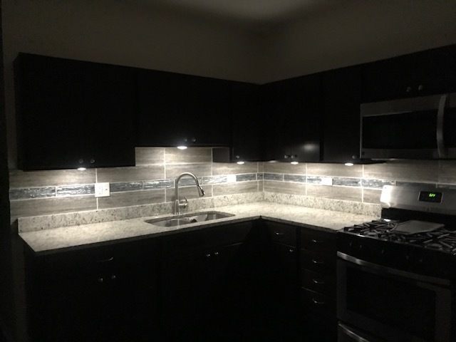 1024 N Lawler Avenue, Chicago, IL 60651