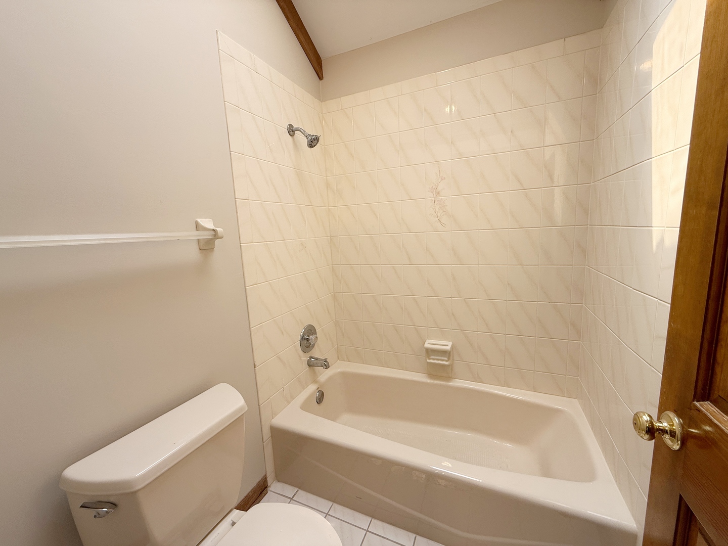 2436 PUTNAM Drive, Naperville, IL 60565