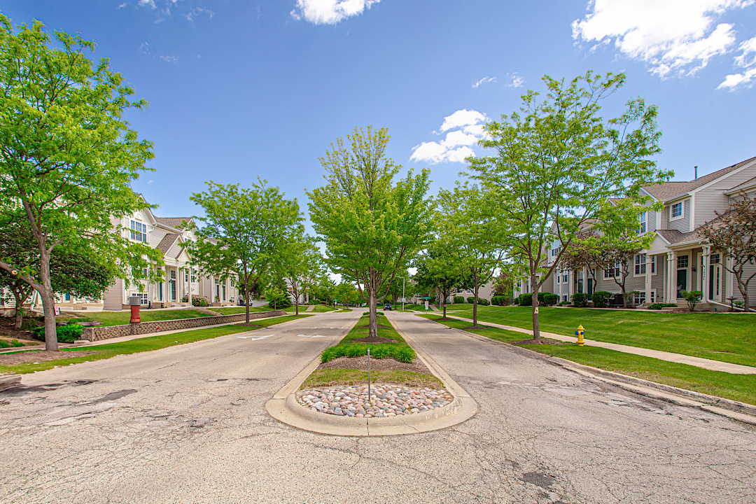 34382 N Aster Court, Round Lake Beach, IL 60073