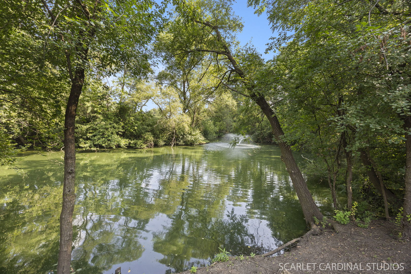 1919 Kingsbrook Court #1919, Wheaton, IL 60187
