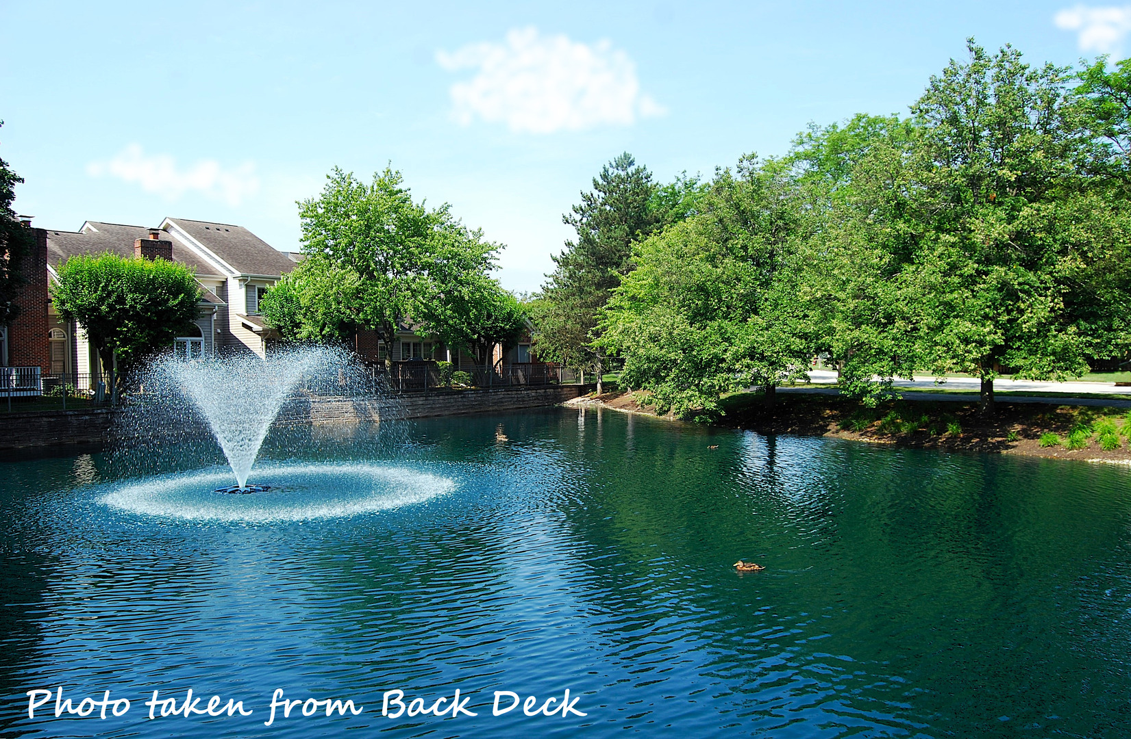 2110 N CHARTER POINT Drive, Arlington Heights, IL 60004