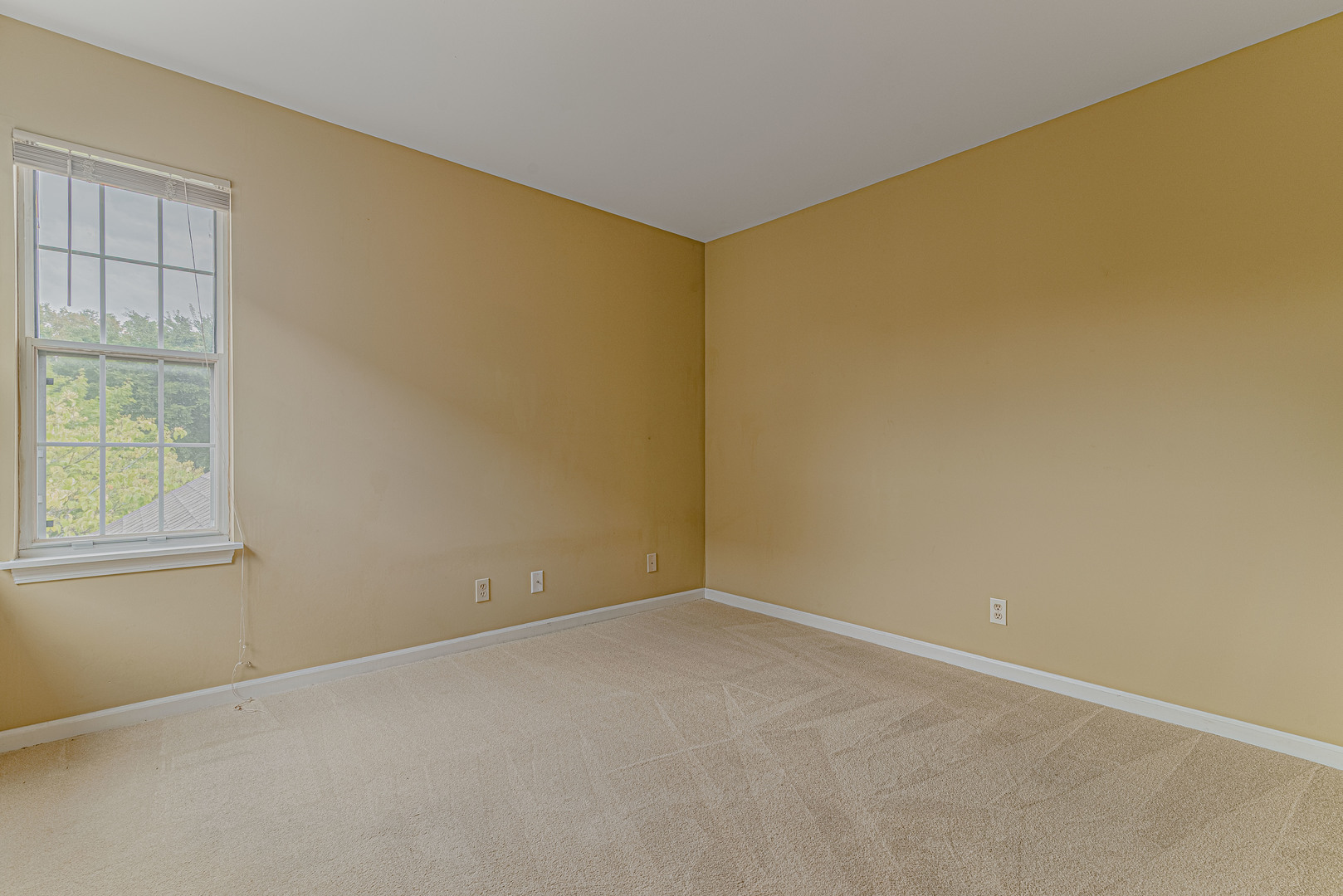 1457 Walnut Hill Avenue #1457, St. Charles, IL 60174