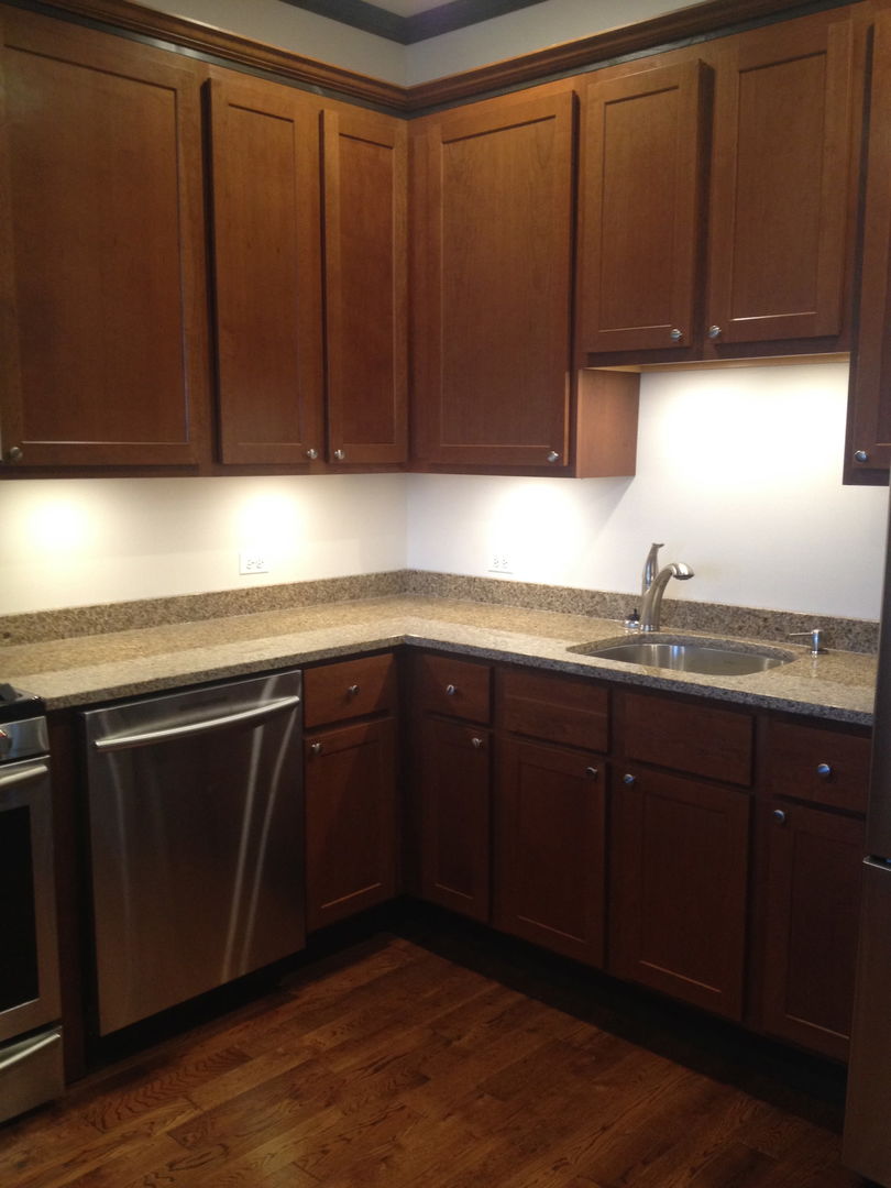 1445 W 16th Street, Chicago, IL 60608