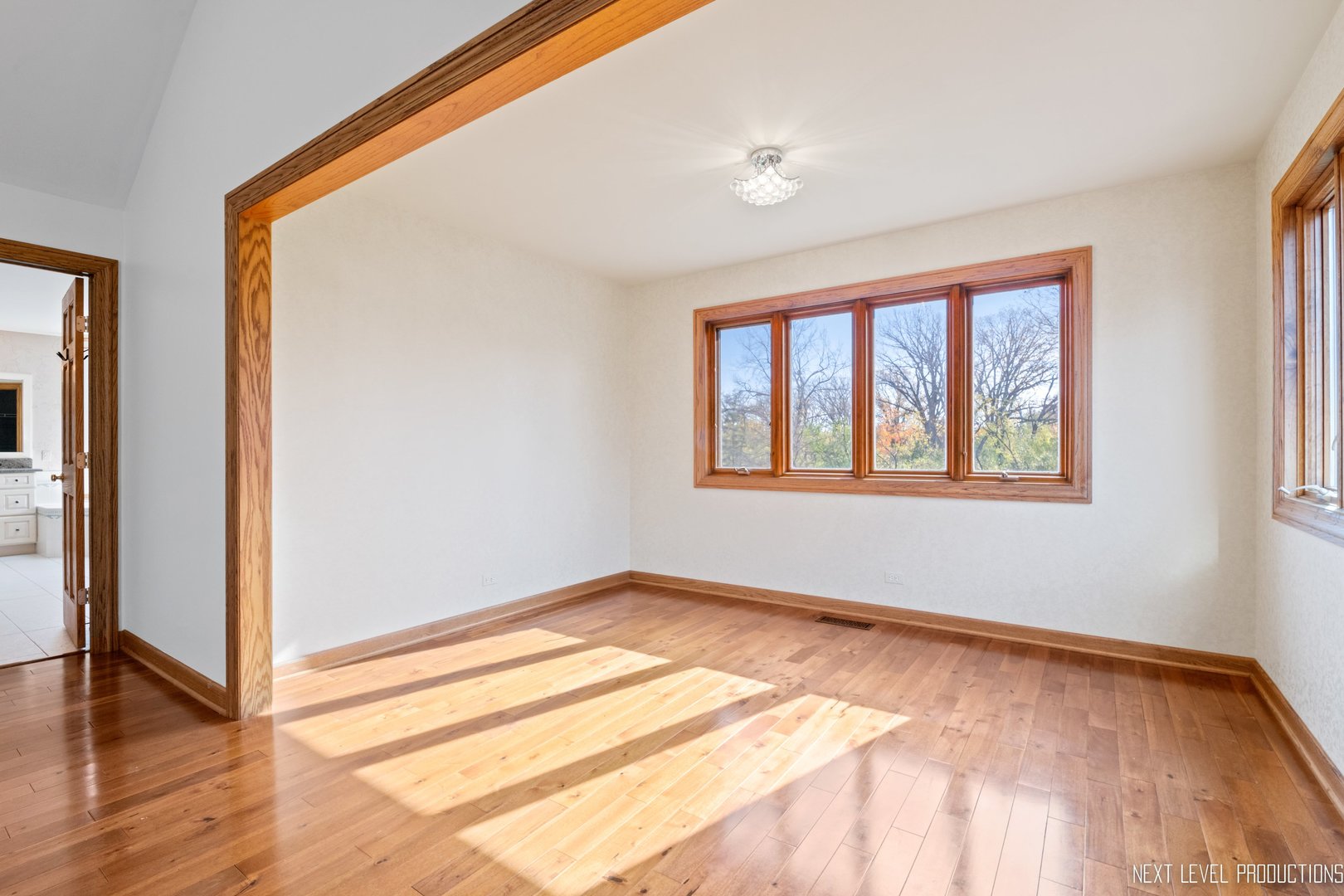 3806 DILLON Court, Downers Grove, IL 60515