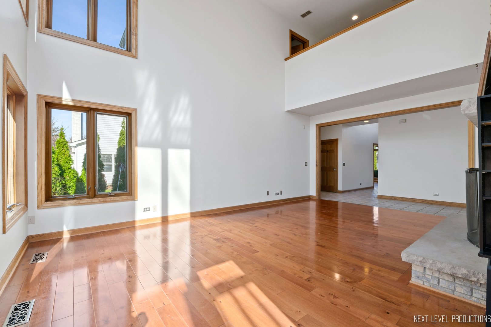 3806 DILLON Court, Downers Grove, IL 60515