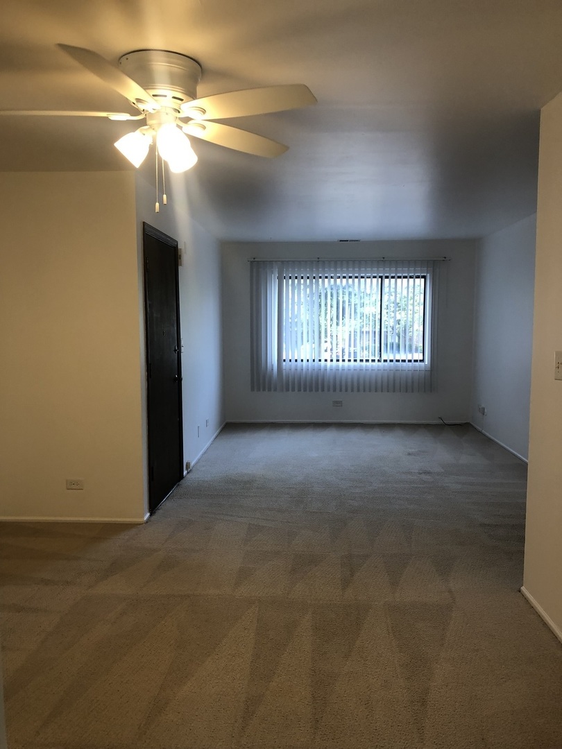319 E Rimini Court #2A, Palatine, IL 60067