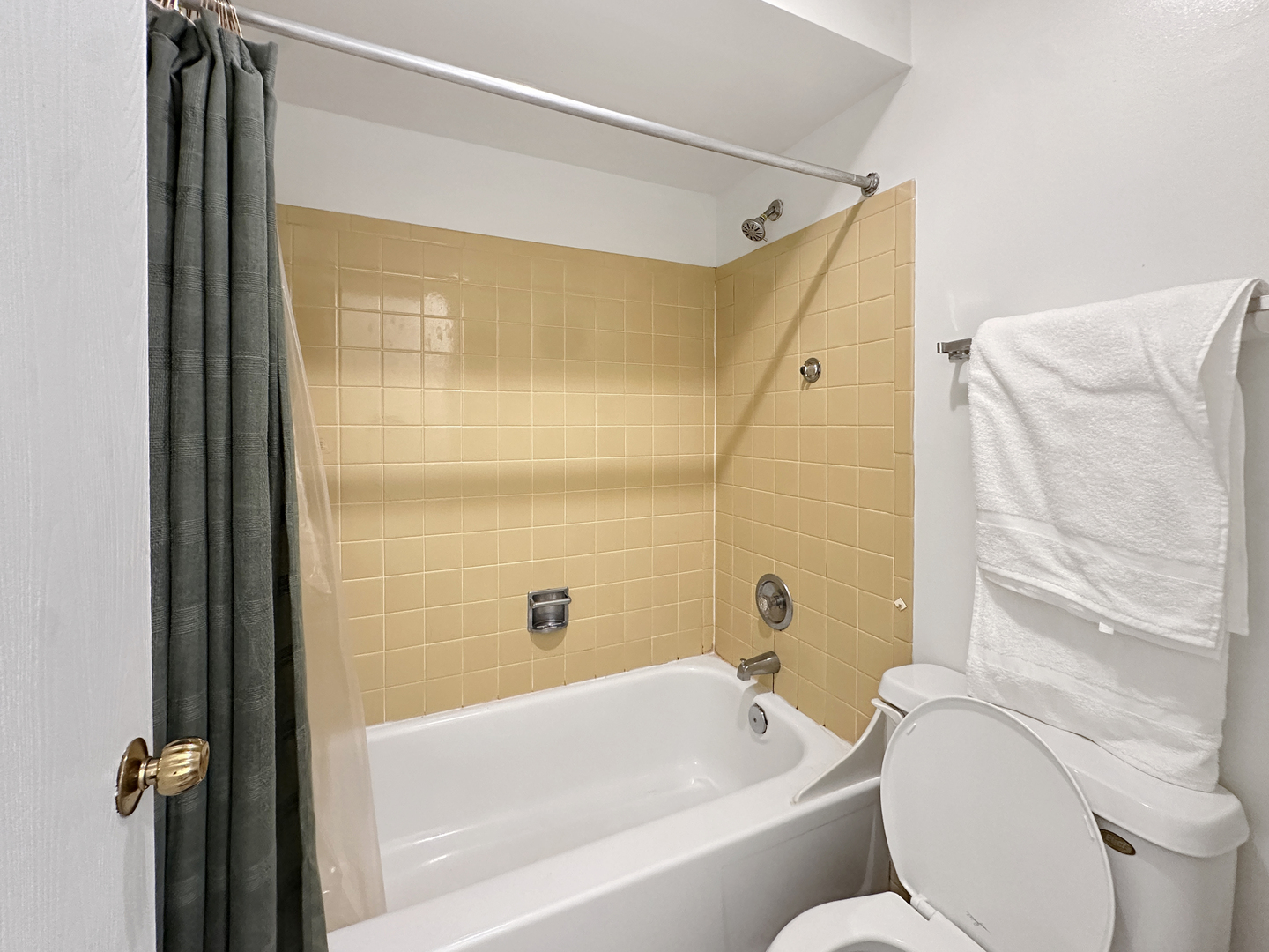5117 N East River Road #1G, Chicago, IL 60656