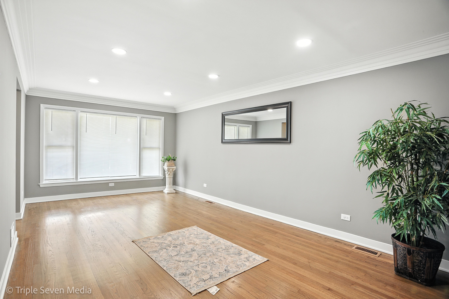 8117 S Richmond Street, Chicago, IL 60652
