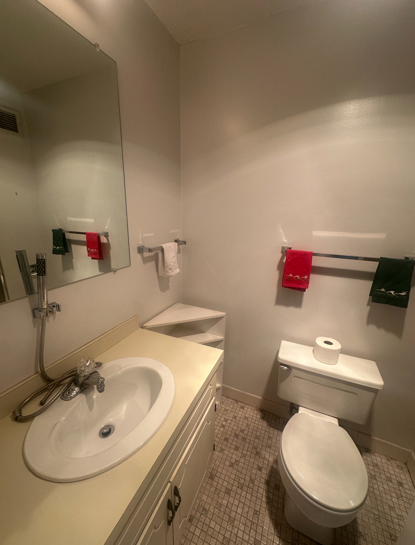 3100 S King Drive #1102, Chicago, IL 60616