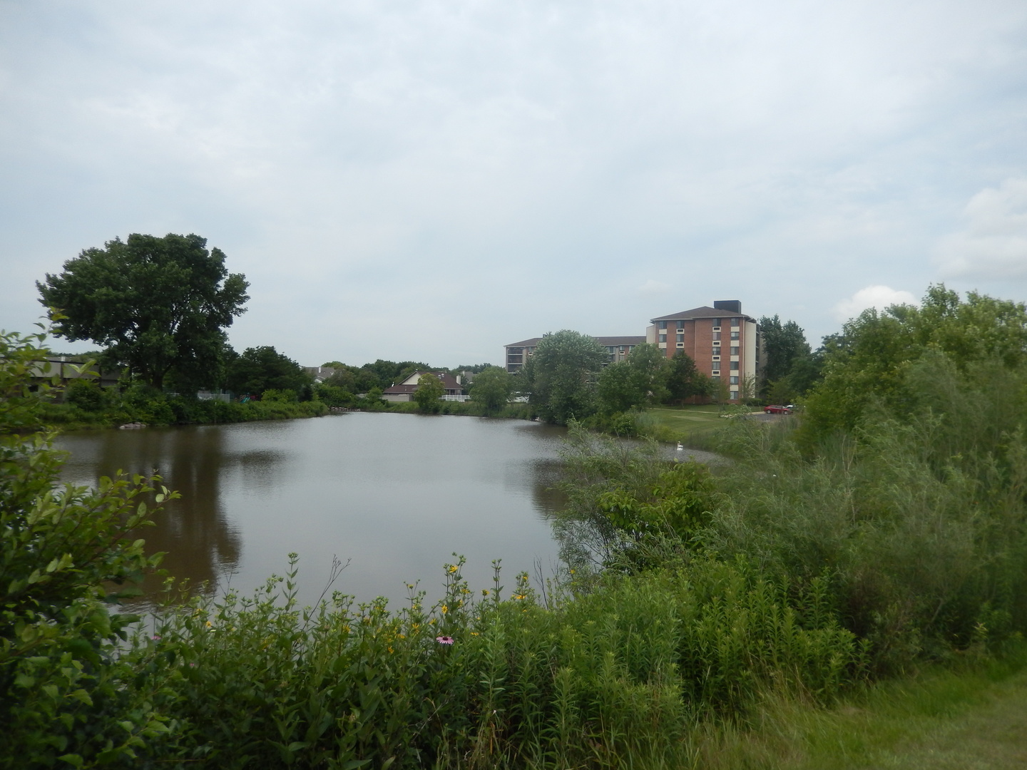 2 Kristin Circle #7, Schaumburg, IL 60195