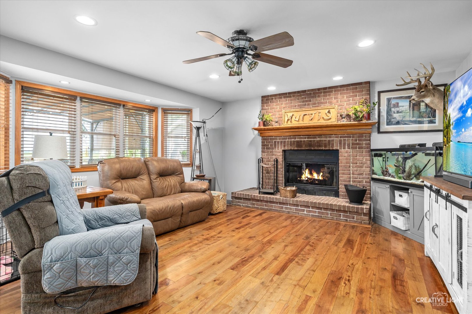 925 Suzy Street, Lake Holiday, IL 60548