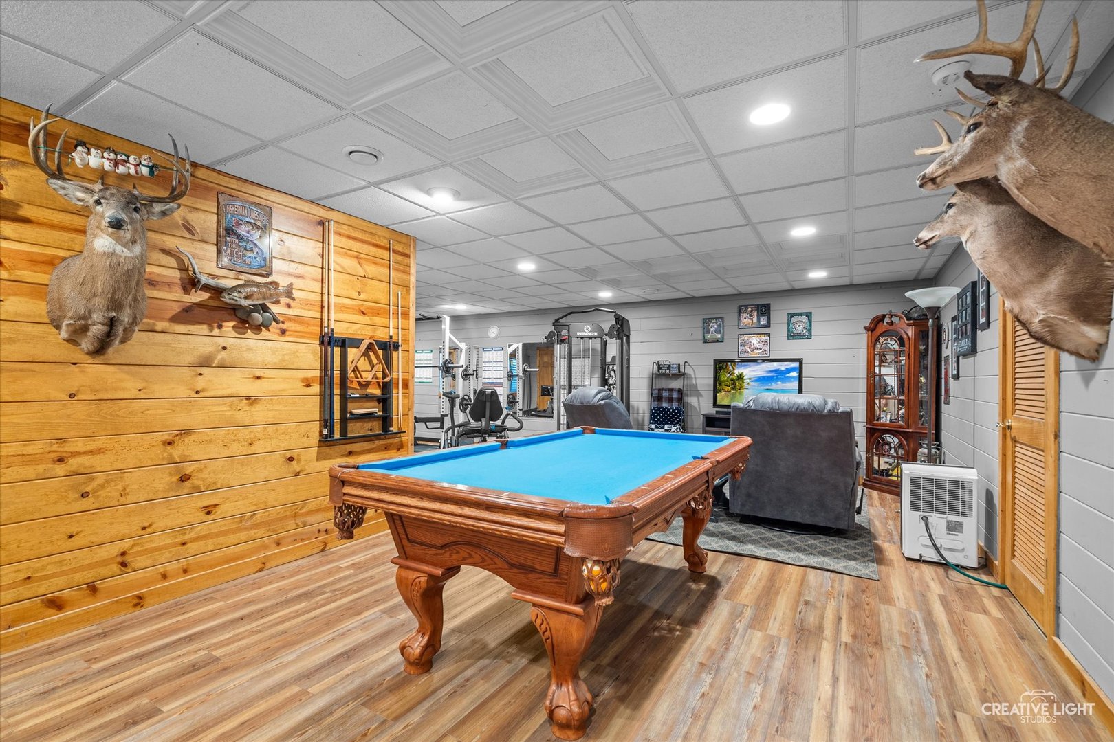 925 Suzy Street, Lake Holiday, IL 60548