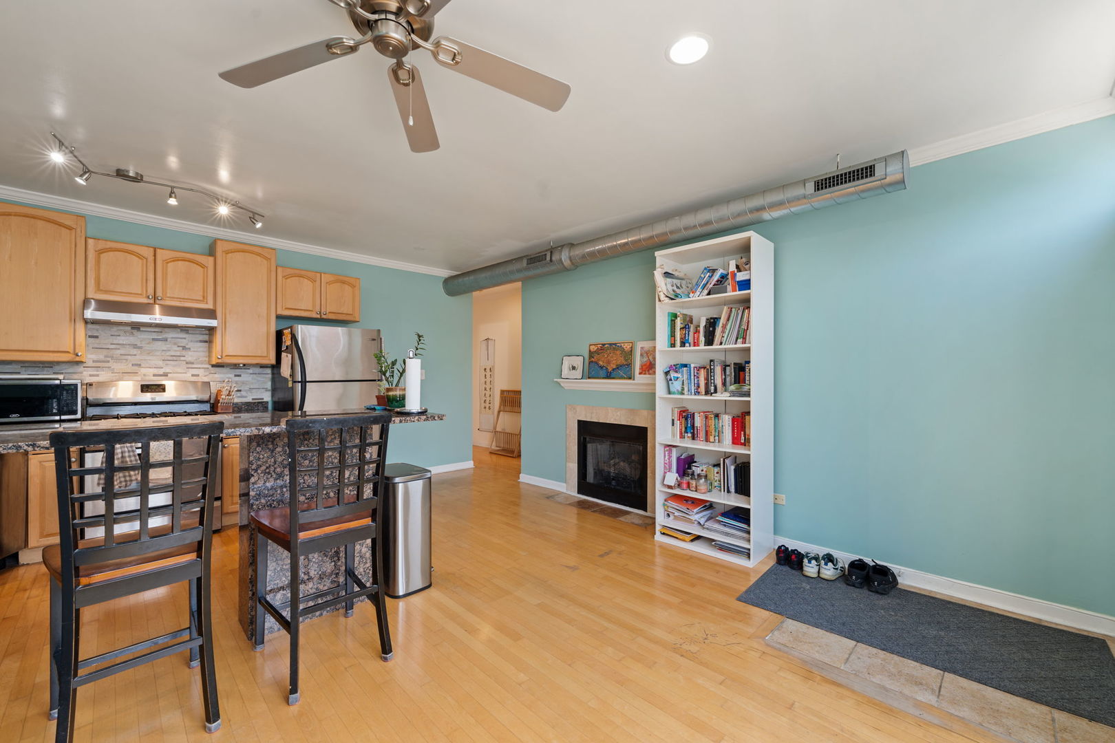 1028 W 20th Place #1, Chicago, IL 60608
