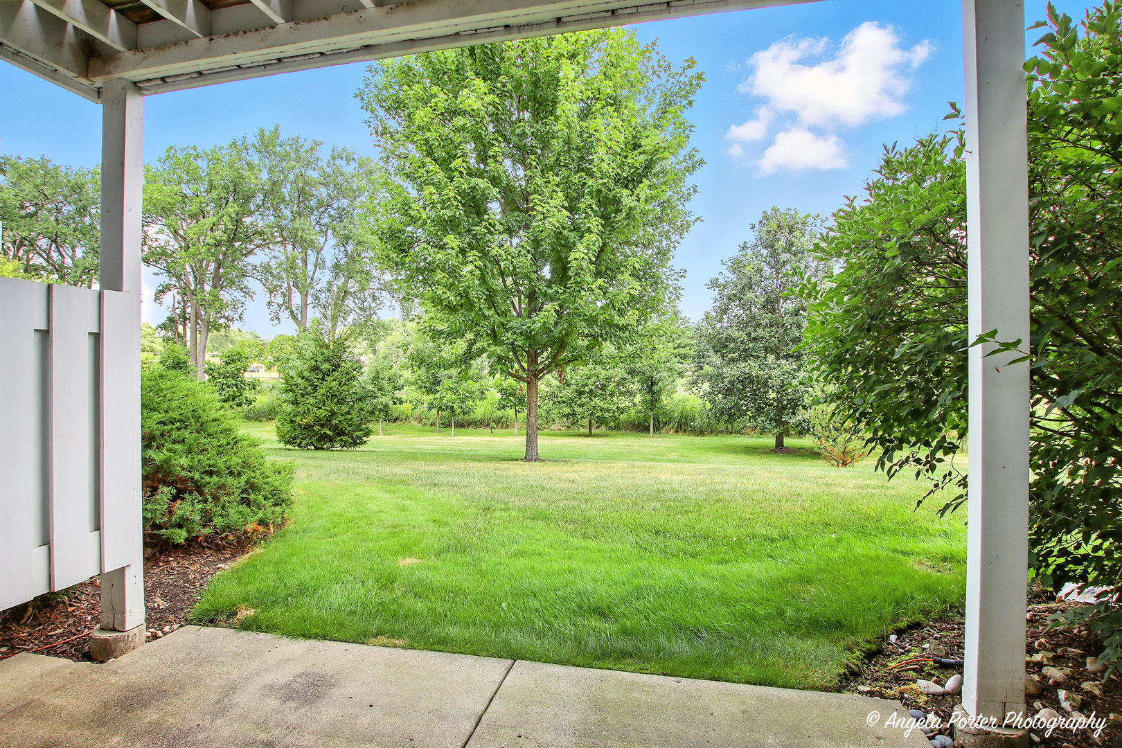 1005 Auburn Lane, Buffalo Grove, IL 60089