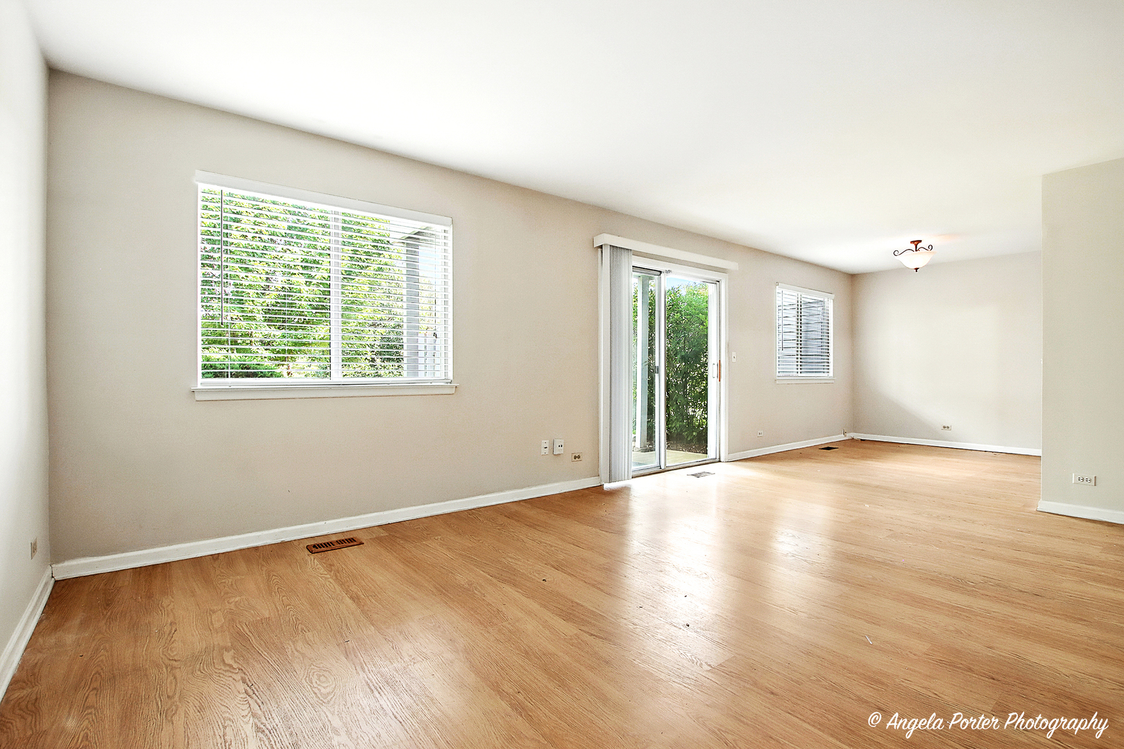 1005 Auburn Lane, Buffalo Grove, IL 60089