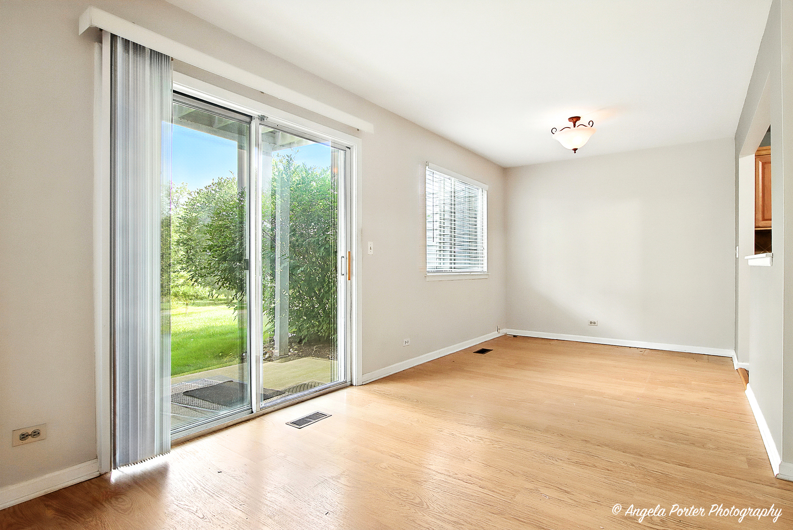 1005 Auburn Lane, Buffalo Grove, IL 60089