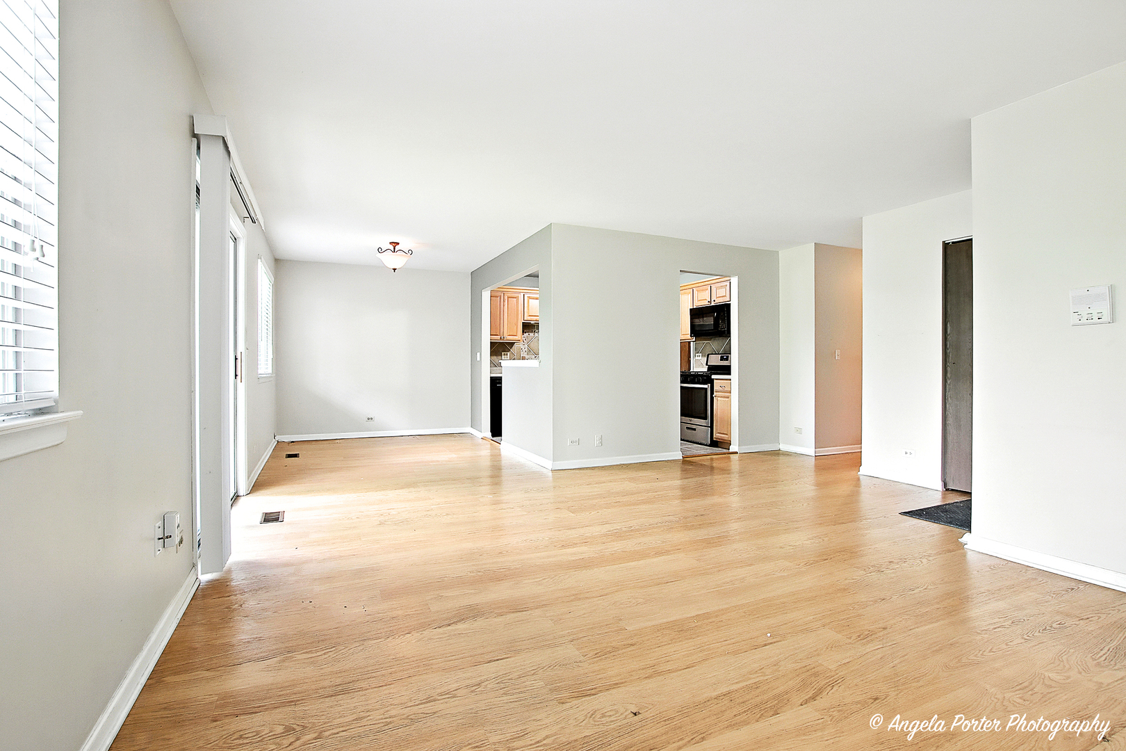 1005 Auburn Lane, Buffalo Grove, IL 60089