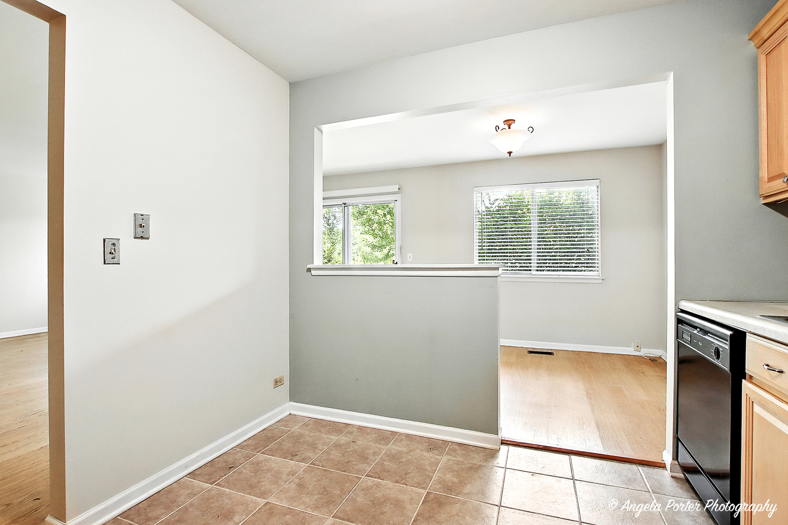 1005 Auburn Lane, Buffalo Grove, IL 60089