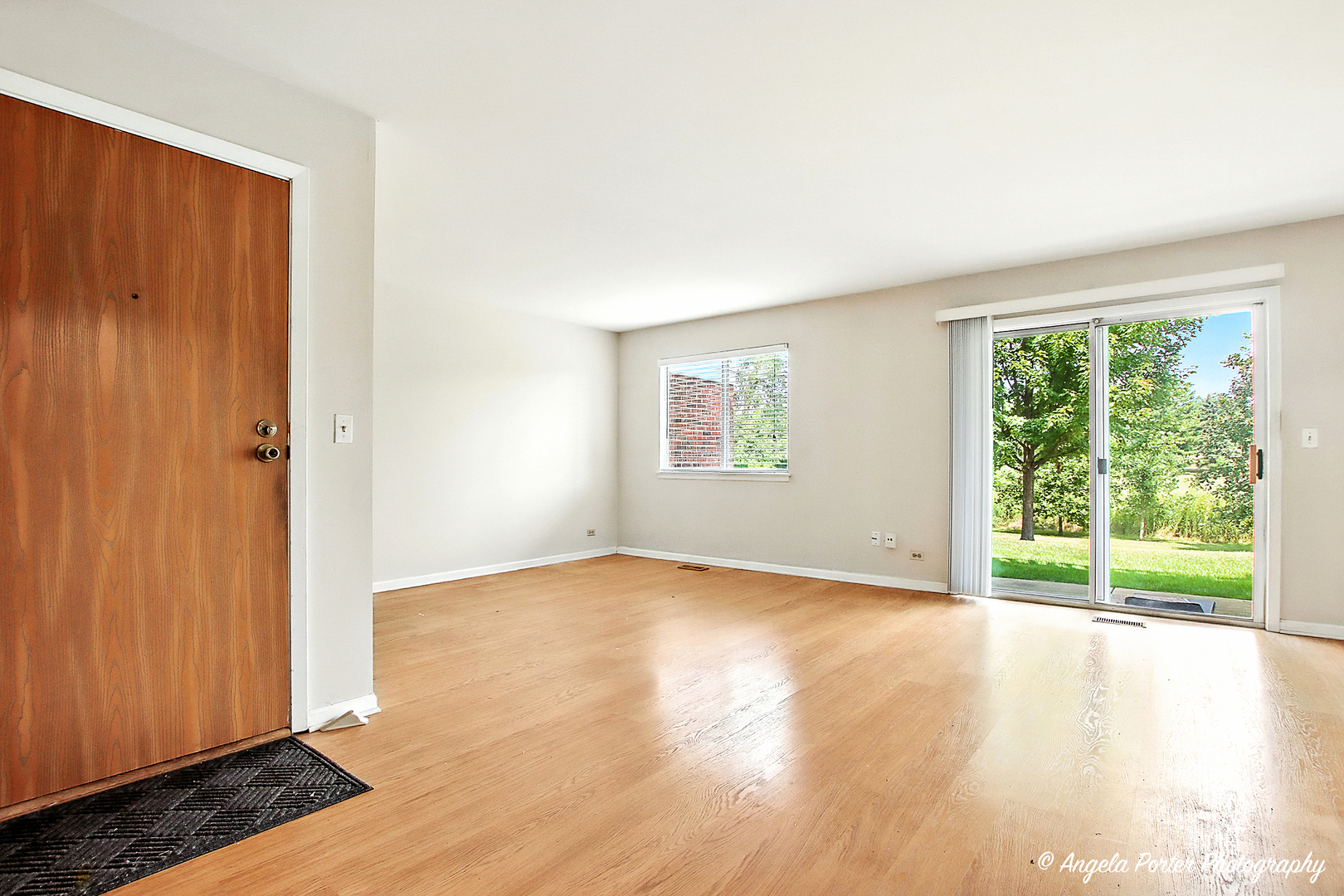 1005 Auburn Lane, Buffalo Grove, IL 60089