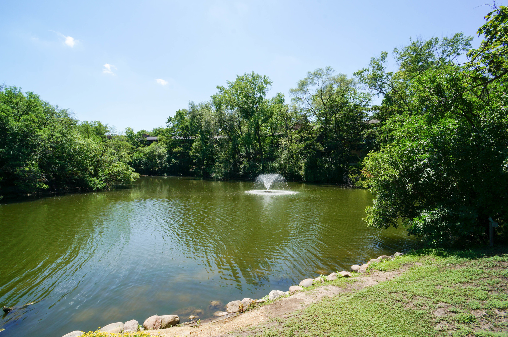 1617 Maple Terrace #1P, Lisle, IL 60532