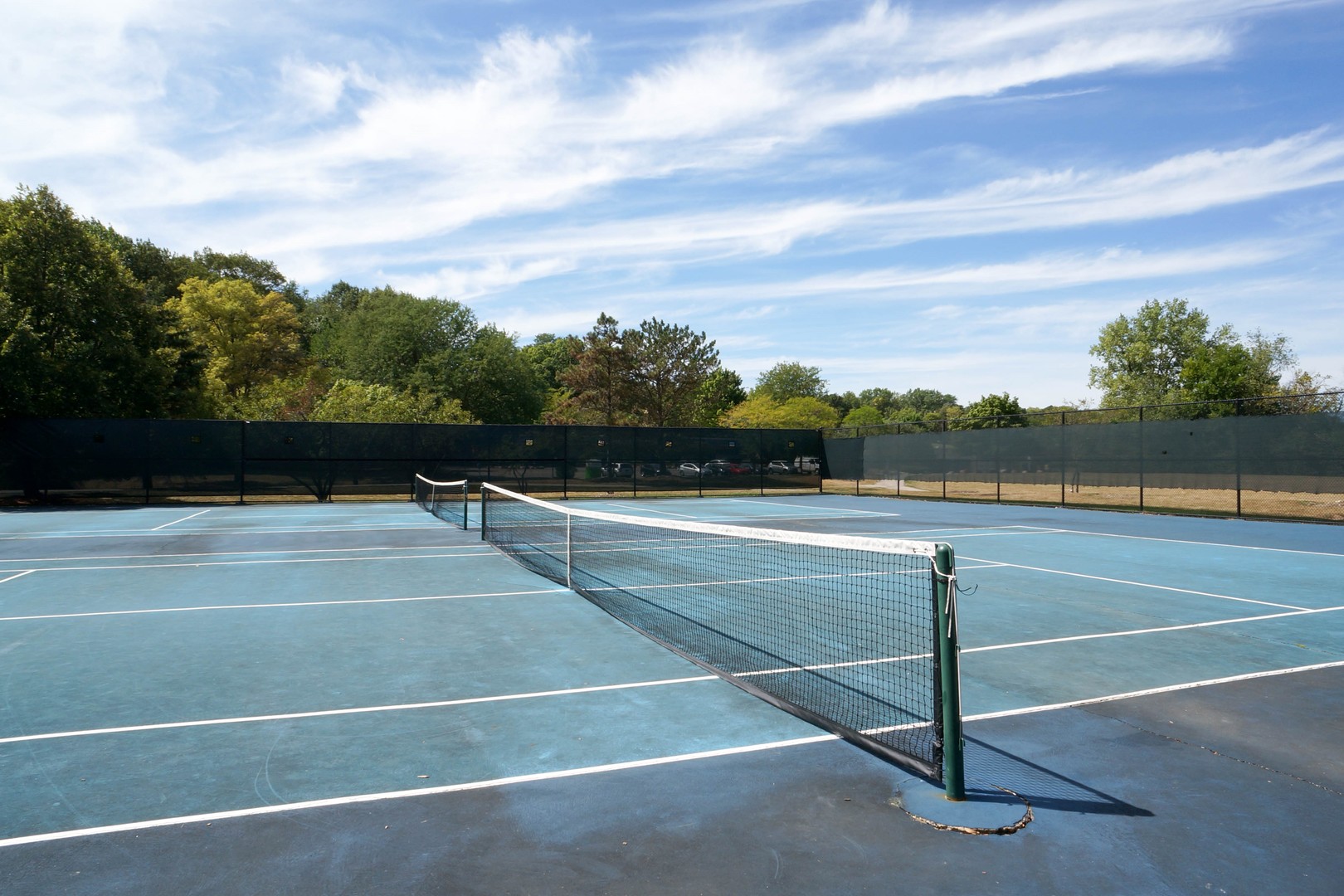 1617 Maple Terrace #1P, Lisle, IL 60532