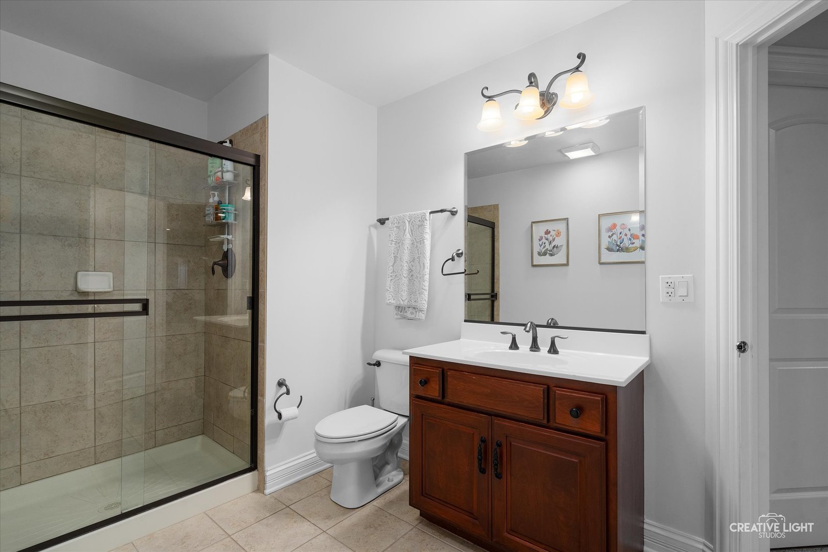 539 Eagle Brook Lane, Naperville, IL 60565