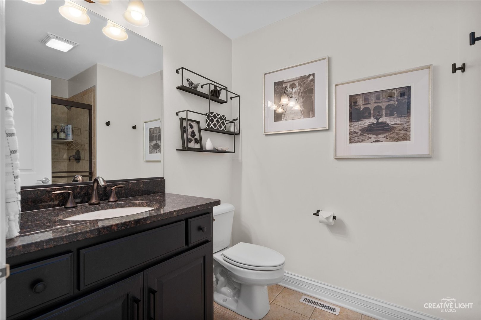 539 Eagle Brook Lane, Naperville, IL 60565