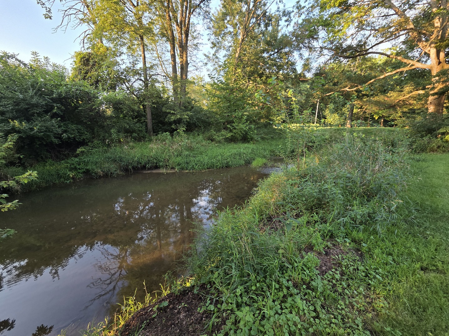 37322 Comanche Drive, Saybrook, IL 61770