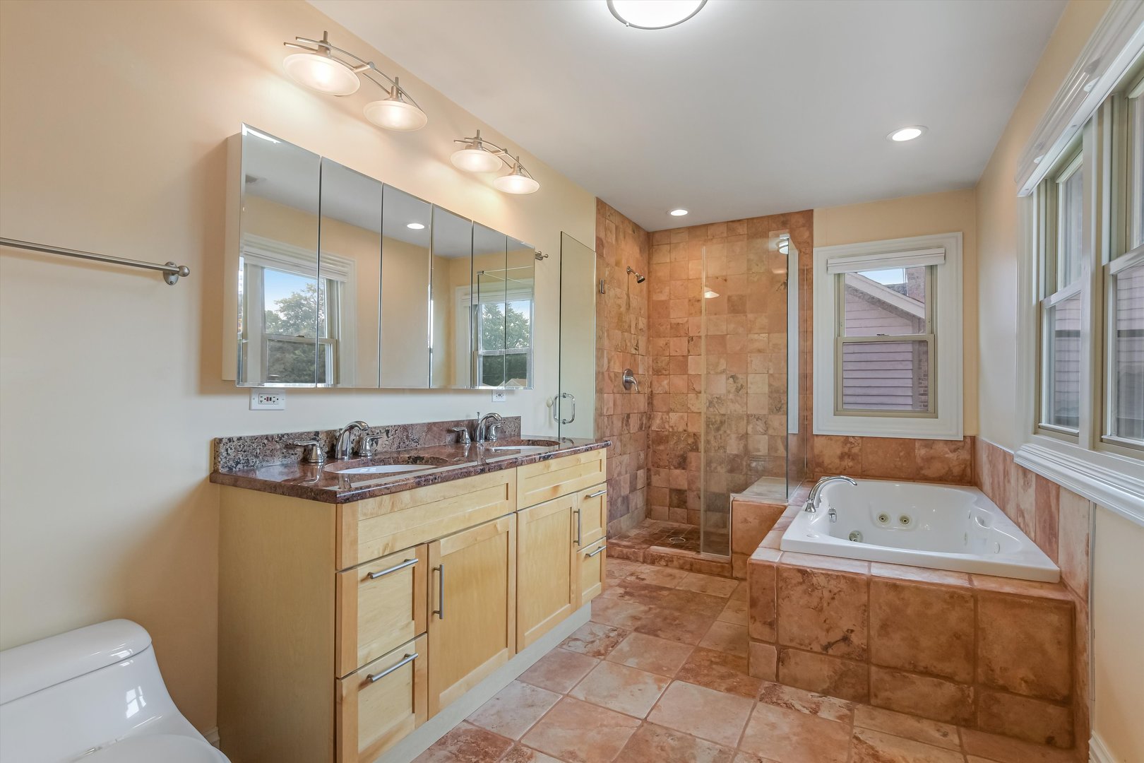 1628 S Cumberland Avenue, Park Ridge, IL 60068