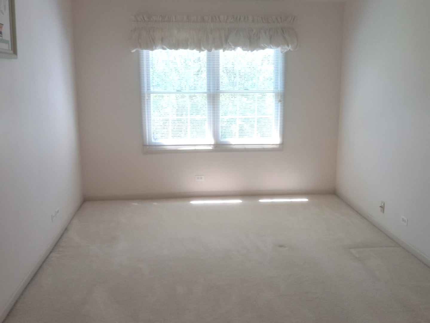 5434 Ashbrook Place #-, Downers Grove, IL 60515